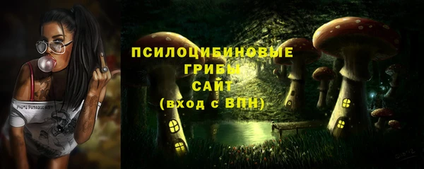 мет Надым