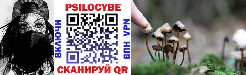 Псилоцибиновые грибы Magic Shrooms Можайск