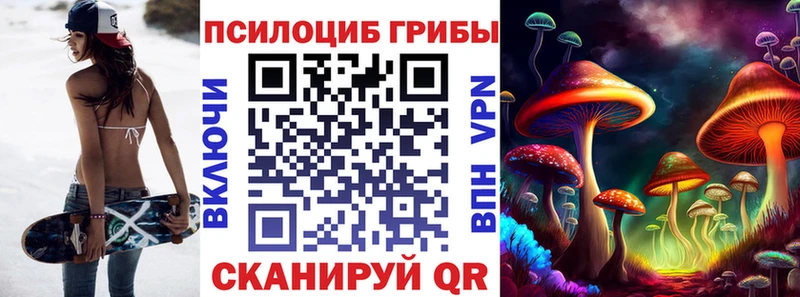 Купить закладки  Можайск  Галлюциногенные грибы мицелий 